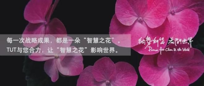 家（IKEA）的全球化历程、品牌战略与启示j9九游真人游戏第一品牌从小镇走向世界 宜(图6)