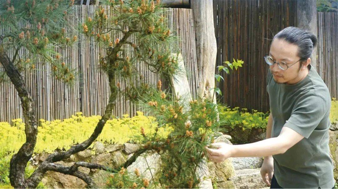 ！清凉大围山何以这样火J9数字平台增长30%(图2)