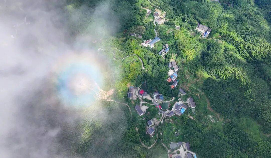 ！清凉大围山何以这样火J9数字平台增长30%(图12)